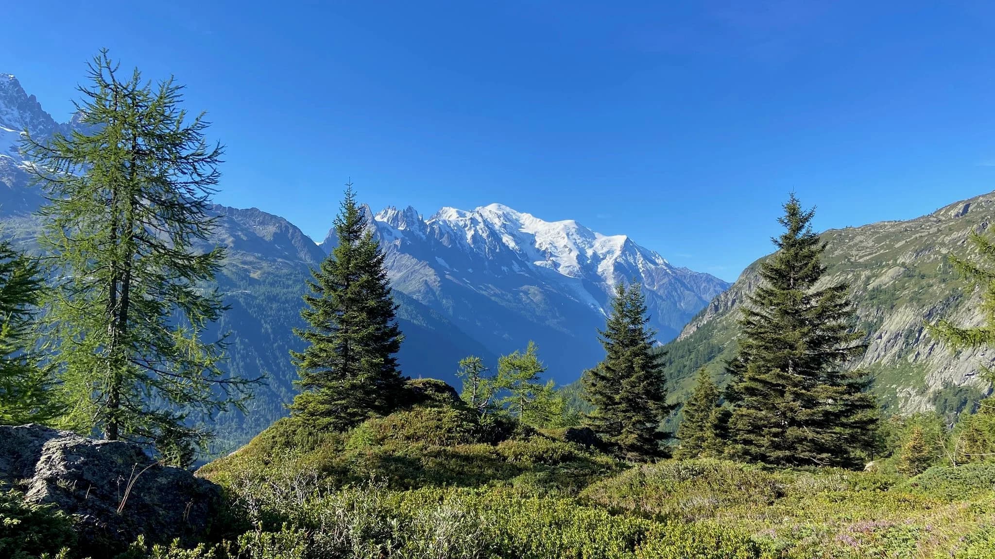 Tour du Mont Blanc